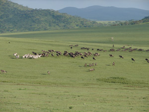 Tanzania